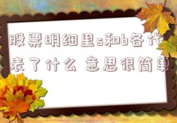 股票明细里s和b各代表了什么 意思很简单