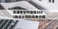 天津市宁河建投2023融资计划的简单介绍