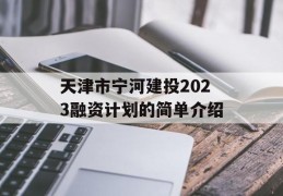 天津市宁河建投2023融资计划的简单介绍