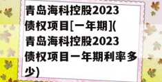 青岛海科控股2023债权项目[一年期](青岛海科控股2023债权项目一年期利率多少)