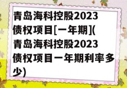 青岛海科控股2023债权项目[一年期](青岛海科控股2023债权项目一年期利率多少)