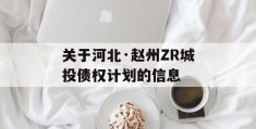 关于河北·赵州ZR城投债权计划的信息