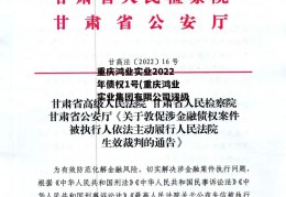 重庆鸿业实业2022年债权1号(重庆鸿业实业集团有限公司评级)