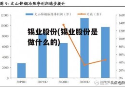 锡业股份(锡业股份是做什么的)