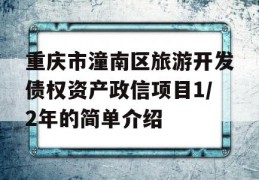 重庆市潼南区旅游开发债权资产政信项目1/2年的简单介绍