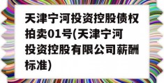 天津宁河投资控股债权拍卖01号(天津宁河投资控股有限公司薪酬标准)