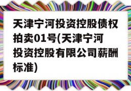 天津宁河投资控股债权拍卖01号(天津宁河投资控股有限公司薪酬标准)