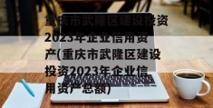 重庆市武隆区建设投资2023年企业信用资产(重庆市武隆区建设投资2023年企业信用资产总额)