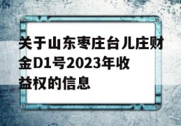 关于山东枣庄台儿庄财金D1号2023年收益权的信息