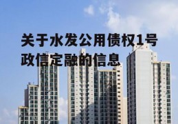 关于水发公用债权1号政信定融的信息