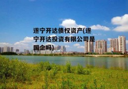 遂宁开达债权资产(遂宁开达投资有限公司是国企吗)