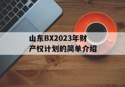 山东BX2023年财产权计划的简单介绍