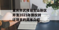 重庆市武隆仙女山新区开发2023年债权转让项目的简单介绍