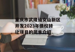 重庆市武隆仙女山新区开发2023年债权转让项目的简单介绍