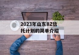 2023年山东BZ信托计划的简单介绍