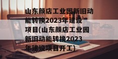 山东颜店工业园新旧动能转换2023年建设项目(山东颜店工业园新旧动能转换2023年建设项目开工)