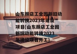 山东颜店工业园新旧动能转换2023年建设项目(山东颜店工业园新旧动能转换2023年建设项目开工)