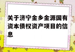 关于济宁金乡金源国有资本债权资产项目的信息