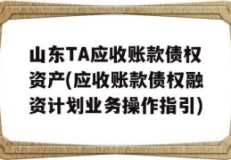 山东TA应收账款债权资产(应收账款债权融资计划业务操作指引)