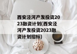 西安泾河产发投资2023融资计划(西安泾河产发投资2023融资计划招标)