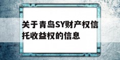 关于青岛SY财产权信托收益权的信息