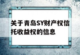 关于青岛SY财产权信托收益权的信息