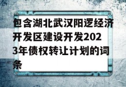 包含湖北武汉阳逻经济开发区建设开发2023年债权转让计划的词条