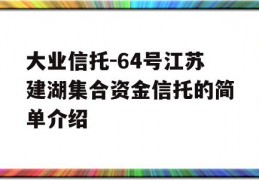 大业信托-64号江苏建湖集合资金信托的简单介绍