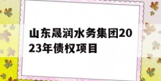 山东晟润水务集团2023年债权项目