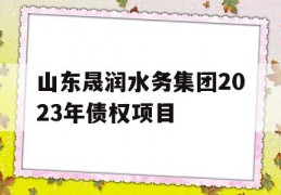 山东晟润水务集团2023年债权项目