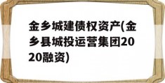 金乡城建债权资产(金乡县城投运营集团2020融资)