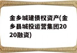 金乡城建债权资产(金乡县城投运营集团2020融资)