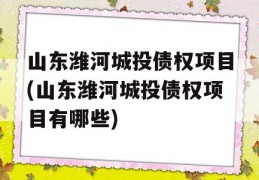 山东潍河城投债权项目(山东潍河城投债权项目有哪些)