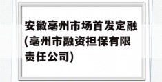 安徽亳州市场首发定融(亳州市融资担保有限责任公司)