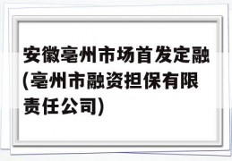 安徽亳州市场首发定融(亳州市融资担保有限责任公司)