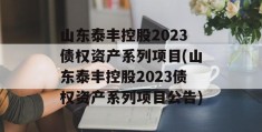 山东泰丰控股2023债权资产系列项目(山东泰丰控股2023债权资产系列项目公告)