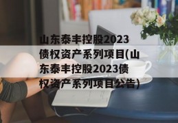 山东泰丰控股2023债权资产系列项目(山东泰丰控股2023债权资产系列项目公告)