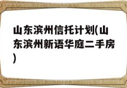 山东滨州信托计划(山东滨州新语华庭二手房)