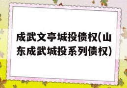 成武文亭城投债权(山东成武城投系列债权)