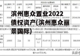 滨州惠众置业2022债权资产(滨州惠众丽景国际)