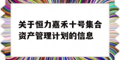 关于恒力嘉禾十号集合资产管理计划的信息