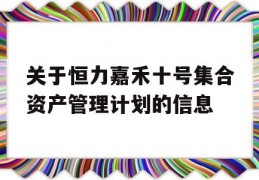 关于恒力嘉禾十号集合资产管理计划的信息