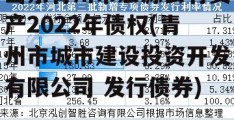 山东青州市宏源公有资产2022年债权(青州市城市建设投资开发有限公司 发行债券)