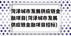 菏泽城市发展供应链金融项目(菏泽城市发展供应链金融项目招标)