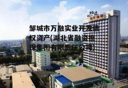 邹城市万融实业开发债权资产(湖北省融资担保集团有限责任公司)