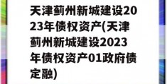 天津蓟州新城建设2023年债权资产(天津蓟州新城建设2023年债权资产01政府债定融)