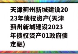 天津蓟州新城建设2023年债权资产(天津蓟州新城建设2023年债权资产01政府债定融)