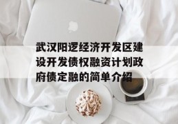 武汉阳逻经济开发区建设开发债权融资计划政府债定融的简单介绍