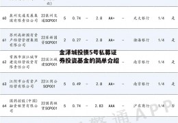 金泽城投债5号私募证券投资基金的简单介绍