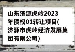 山东济源虎岭2023年债权01转让项目(济源市虎岭经济发展集团有限公司)